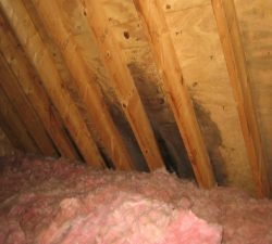 Springdale Roofing Maintenance Suggestions