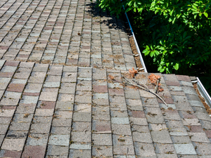 What to Look for in a Professional Roofing Inspection ub Pryor, Oklahoma.