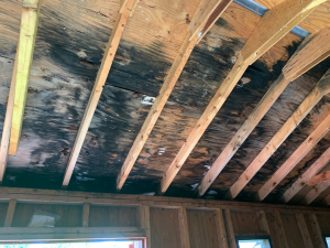 Warning signs of poor roof ventilation highlighted by an expert.