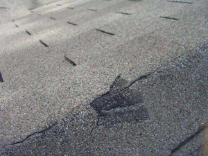 Close-up of damaged shingles needing repair in Springdale