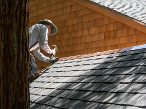 Professional roofing repairs for damaged shingles in Springdale